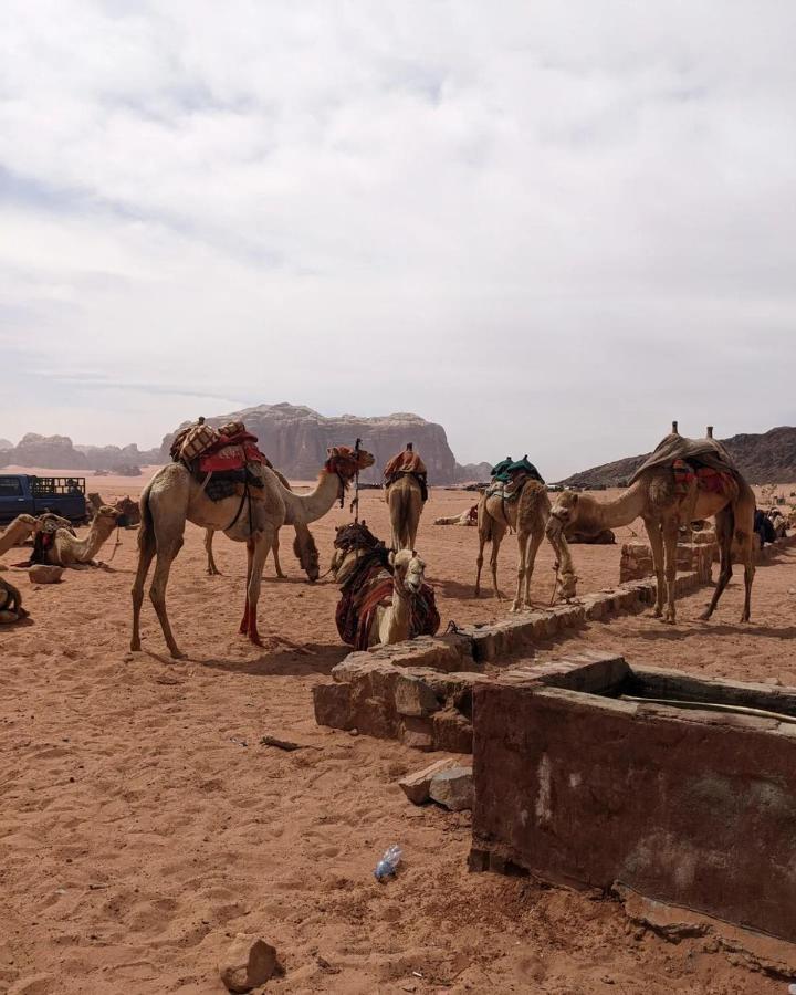 Wadi Rum Fun Time Tour'S Eksteriør billede