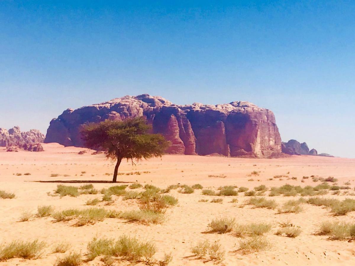 Wadi Rum Fun Time Tour'S Eksteriør billede