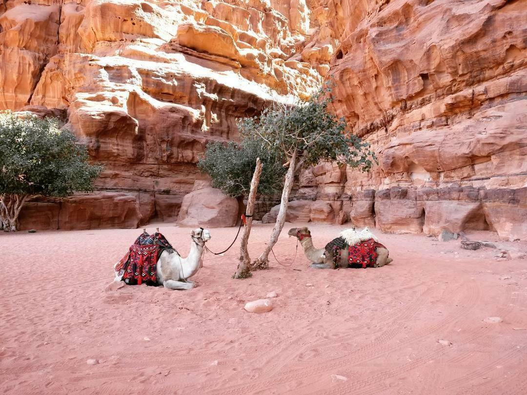 Wadi Rum Fun Time Tour'S Eksteriør billede
